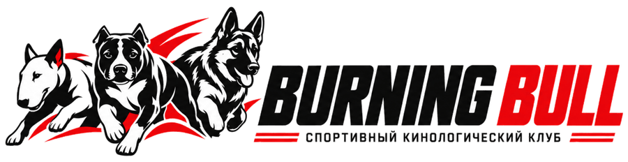 Burning Bull — спортивный кинологический клуб